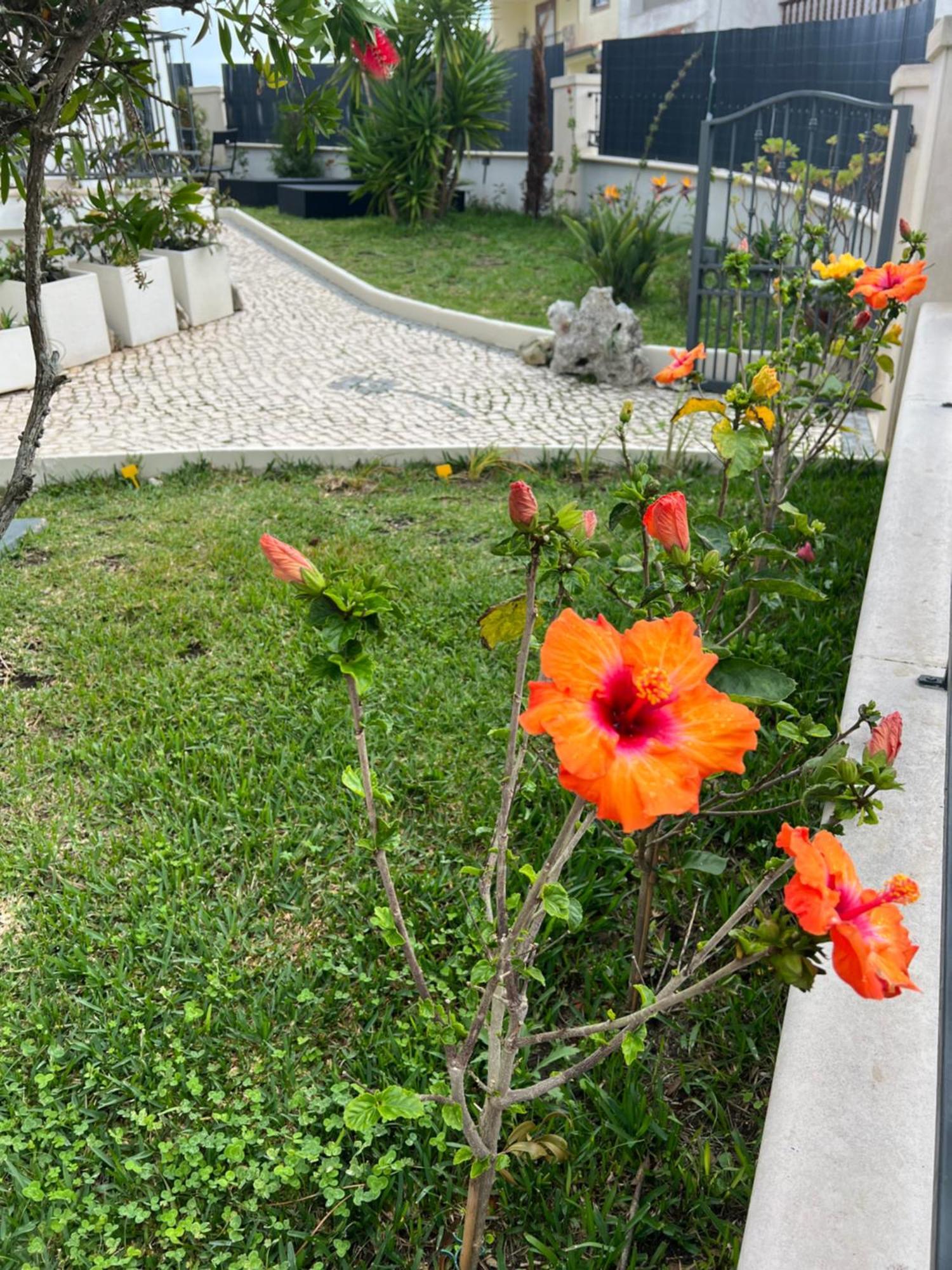Nazare Oasis Suites Esterno foto
